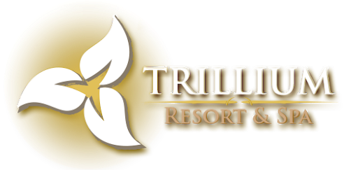 Trillium Resort - DJ MasterMix